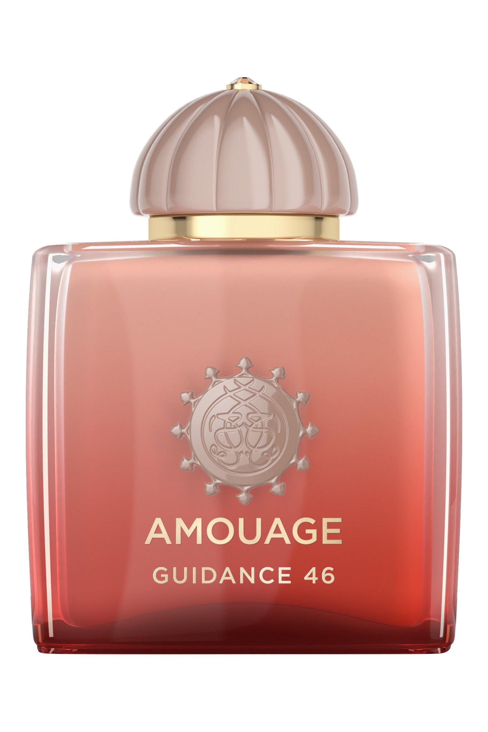 AMOUAGE GUIDANCE 46 EXTRAIT DE PARFUM-100ML